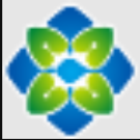 数字科技集团
